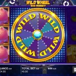 Wild Wheel Big Money Review