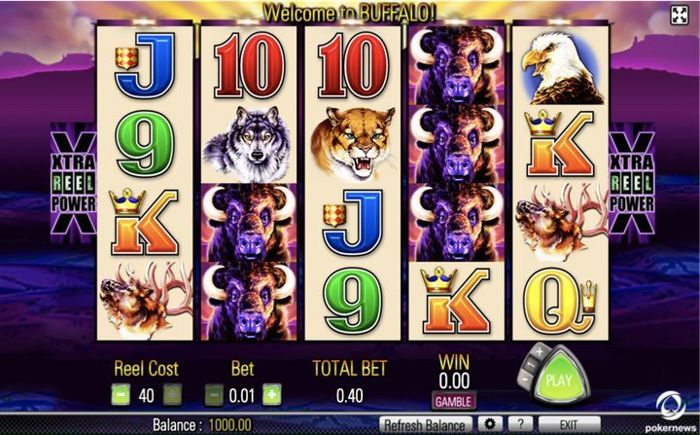 how to play Buffalo slot machine